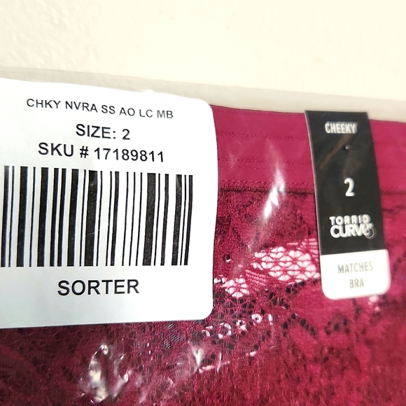 ❤️NWT VINTAGE TORRID VALENTINES DAY PANTY FUCHSIA MID-RISE CHEEKY - PLUS SIZE - Picture 4 of 10